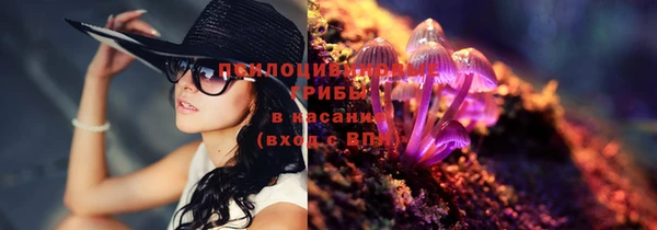шишки Зеленодольск