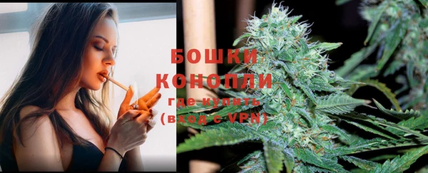 шишки Зеленодольск