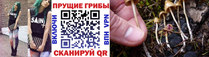 Галлюциногенные грибы ЛСД  Купить закладки  Камешково 