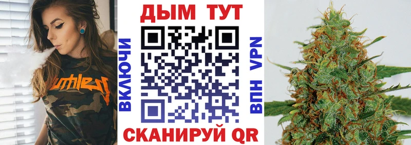 Купить  Камешково  МАРИХУАНА планчик 